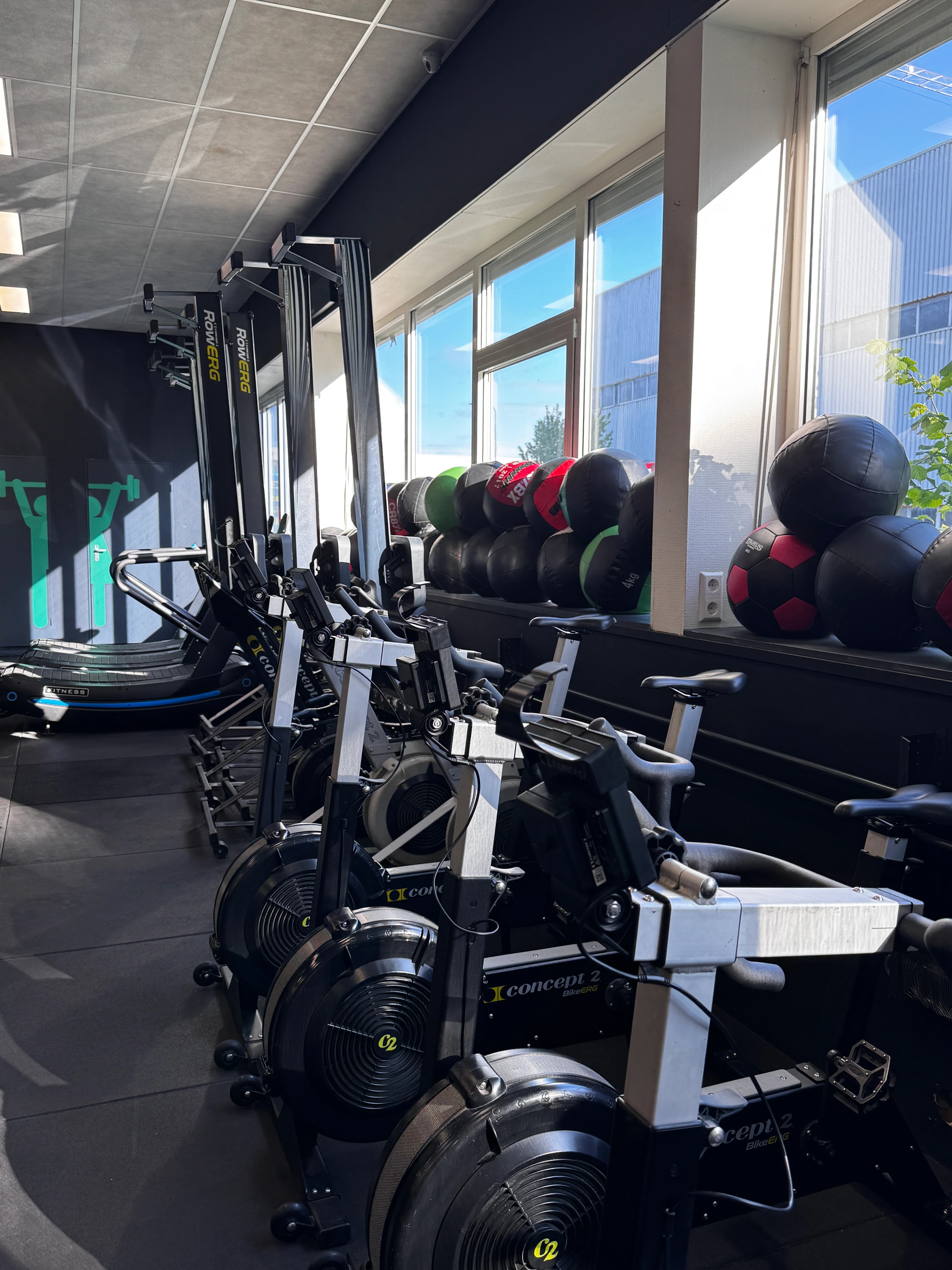 Krachttraining in Hillegom